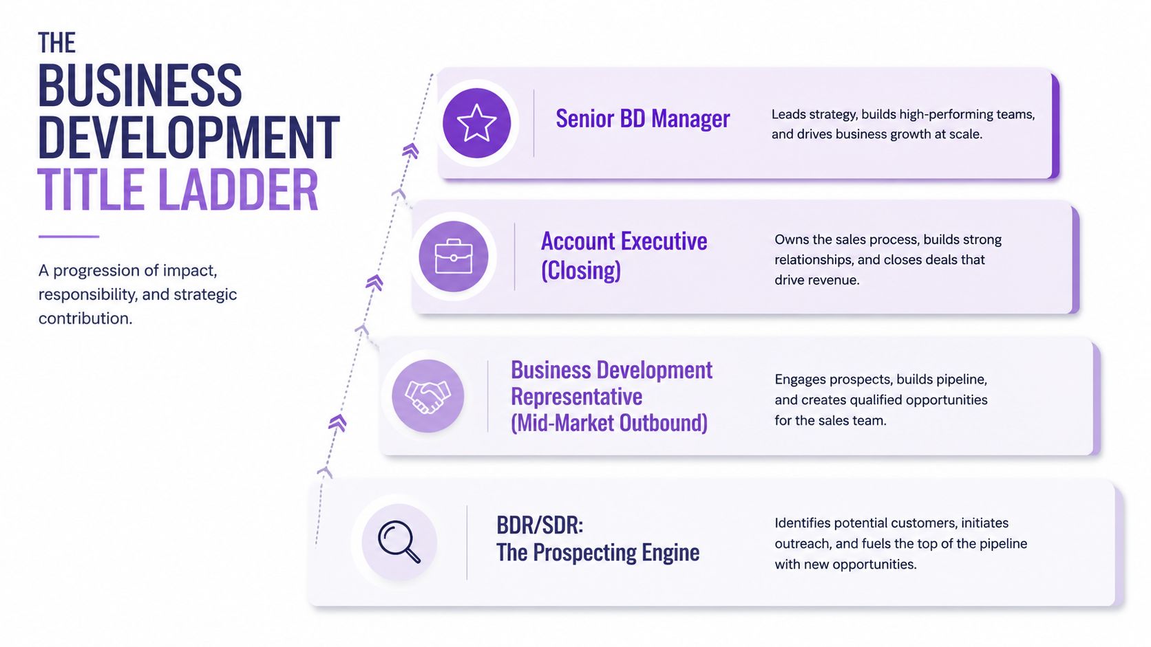 A diagram illustrating the career progression ladder for business development roles from entry-level to senior management positions.